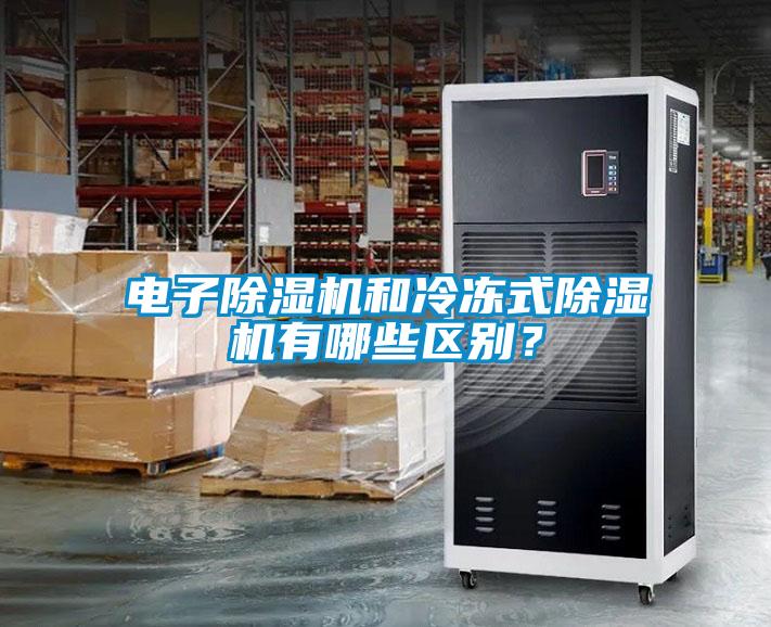 電子除濕機(jī)和冷凍式除濕機(jī)有哪些區(qū)別？