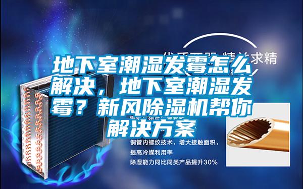 地下室潮濕發(fā)霉怎么解決，地下室潮濕發(fā)霉？新風(fēng)除濕機(jī)幫你解決方案