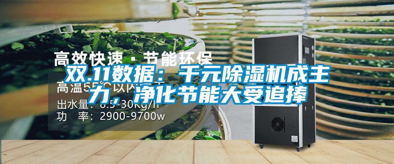 雙.11數(shù)據(jù)：千元除濕機成主力，凈化節(jié)能大受追捧