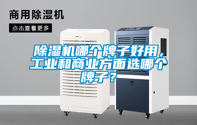 除濕機哪個牌子好用，工業(yè)和商業(yè)方面選哪個牌子？