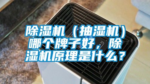 除濕機(jī)（抽濕機(jī)）哪個(gè)牌子好，除濕機(jī)原理是什么？