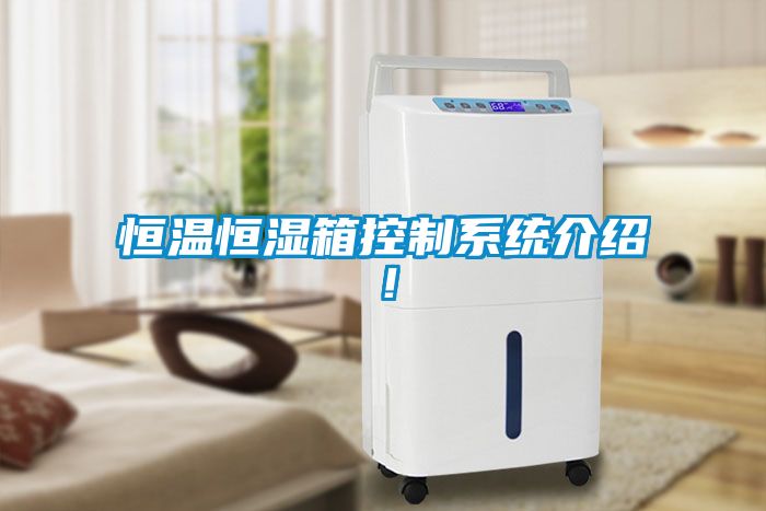 恒溫恒濕箱控制系統(tǒng)介紹！