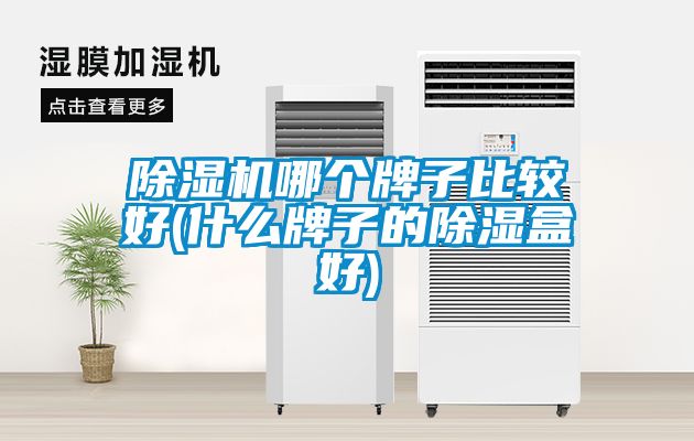 除濕機(jī)哪個牌子比較好(什么牌子的除濕盒好)