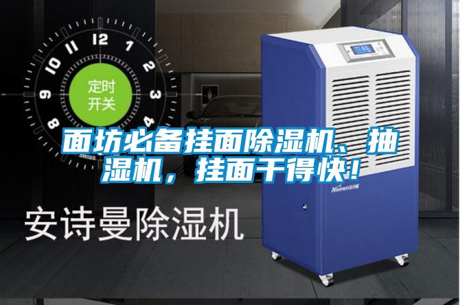 面坊必備掛面除濕機、抽濕機，掛面干得快！