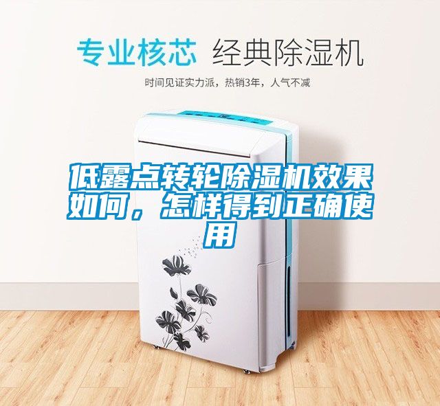 低露點(diǎn)轉(zhuǎn)輪除濕機(jī)效果如何，怎樣得到正確使用
