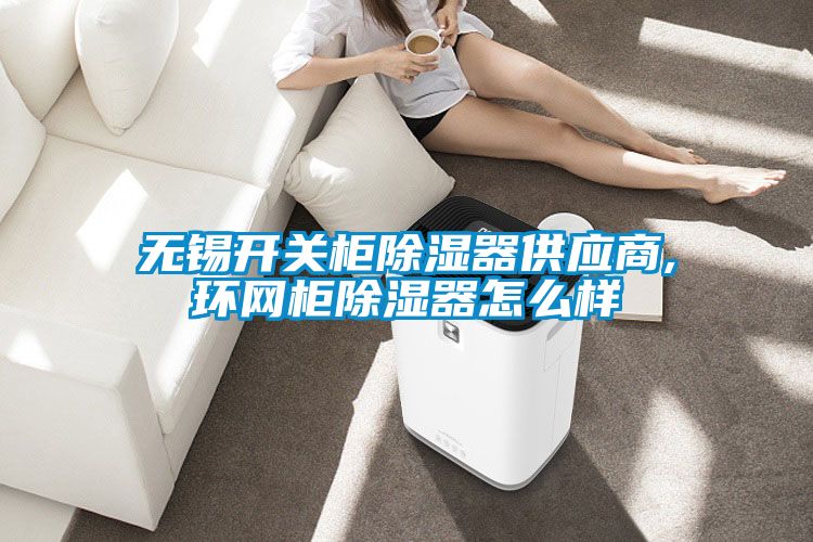 無錫開關柜除濕器供應商,環(huán)網(wǎng)柜除濕器怎么樣