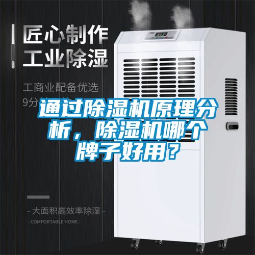通過除濕機(jī)原理分析，除濕機(jī)哪個牌子好用？