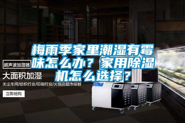 梅雨季家里潮濕有霉味怎么辦？家用除濕機(jī)怎么選擇？