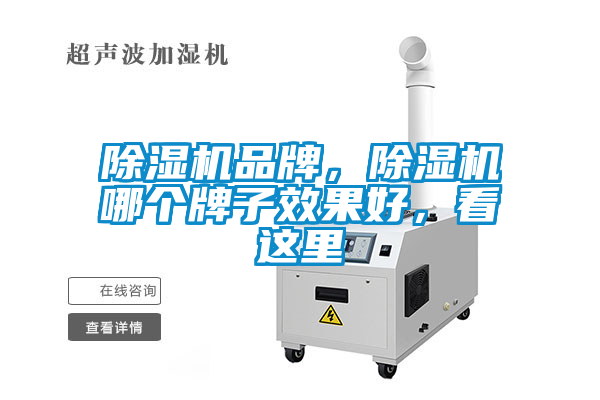 除濕機品牌，除濕機哪個牌子效果好，看這里