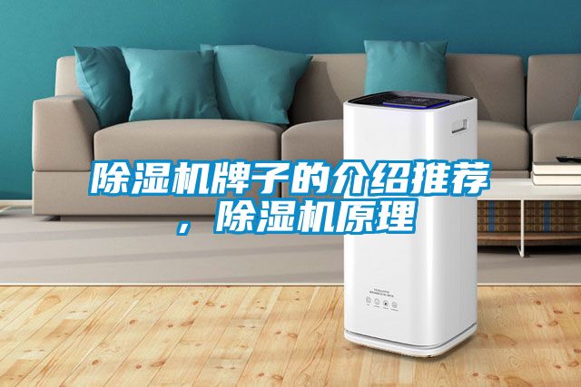 除濕機(jī)牌子的介紹推薦，除濕機(jī)原理