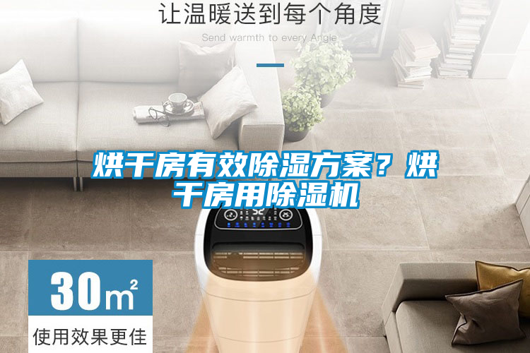 烘干房有效除濕方案？烘干房用除濕機