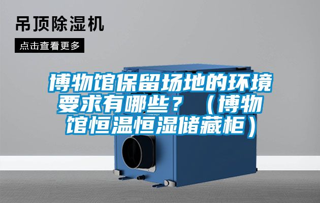 博物館保留場地的環(huán)境要求有哪些？（博物館恒溫恒濕儲藏柜）