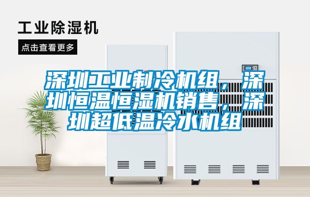 深圳工業(yè)制冷機組，深圳恒溫恒濕機銷售，深圳超低溫冷水機組