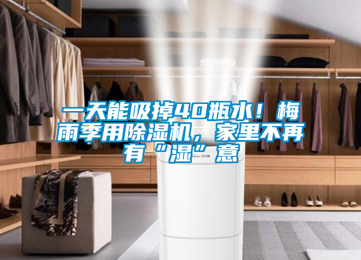一天能吸掉40瓶水！梅雨季用除濕機，家里不再有“濕”意