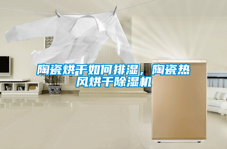 陶瓷烘干如何排濕，陶瓷熱風(fēng)烘干除濕機