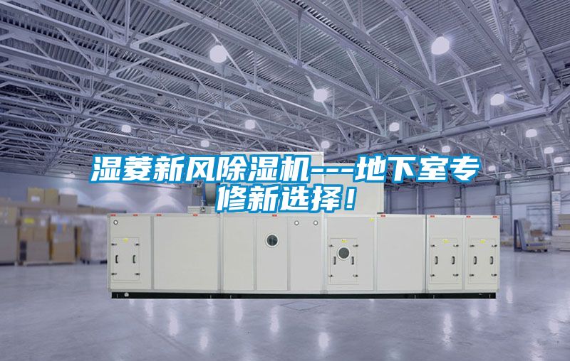 濕菱新風除濕機---地下室專修新選擇！