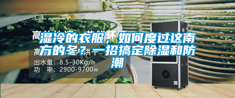 濕冷的衣服，如何度過(guò)這南方的冬？一招搞定除濕和防潮