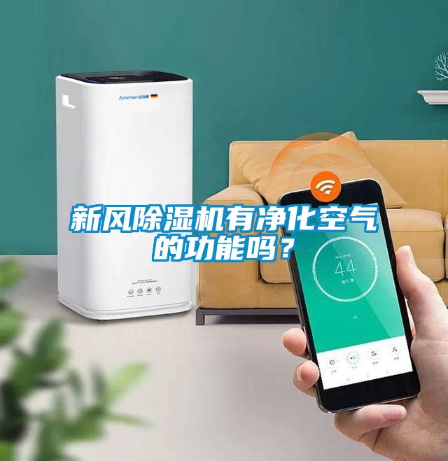 新風(fēng)除濕機(jī)有凈化空氣的功能嗎？