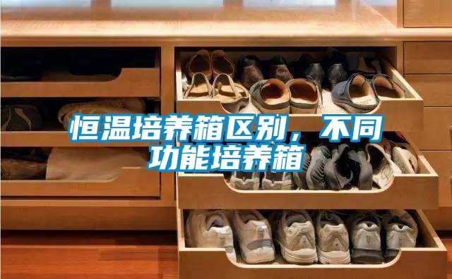 恒溫培養(yǎng)箱區(qū)別，不同功能培養(yǎng)箱