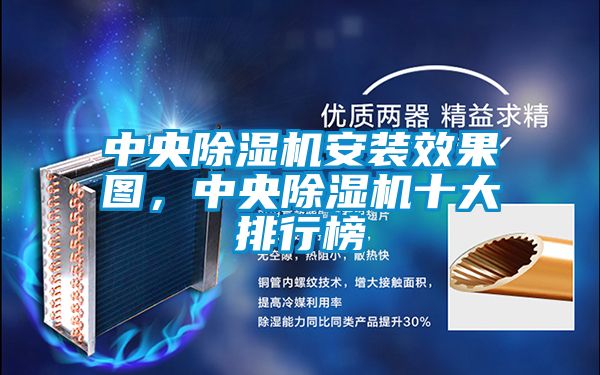 中央除濕機(jī)安裝效果圖，中央除濕機(jī)十大排行榜