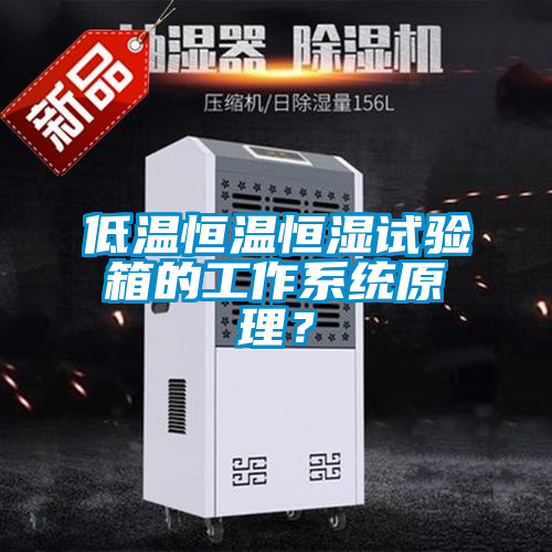 低溫恒溫恒濕試驗箱的工作系統(tǒng)原理？