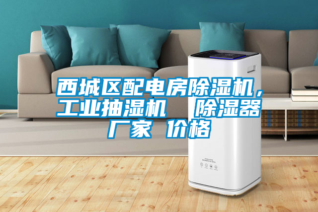 西城區(qū)配電房除濕機(jī)，工業(yè)抽濕機(jī)  除濕器廠家 價(jià)格
