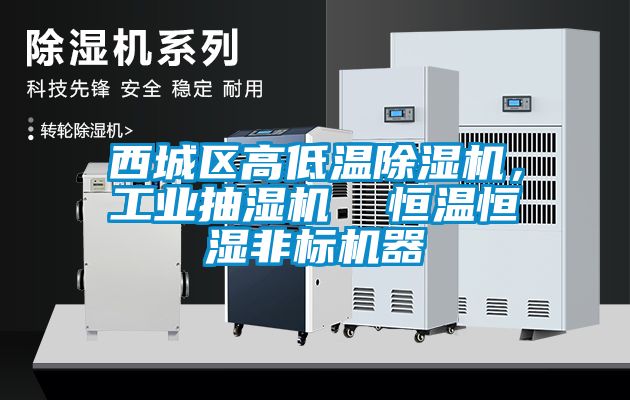 西城區(qū)高低溫除濕機，工業(yè)抽濕機  恒溫恒濕非標機器