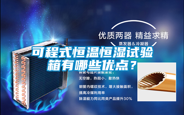 可程式恒溫恒濕試驗(yàn)箱有哪些優(yōu)點(diǎn)？