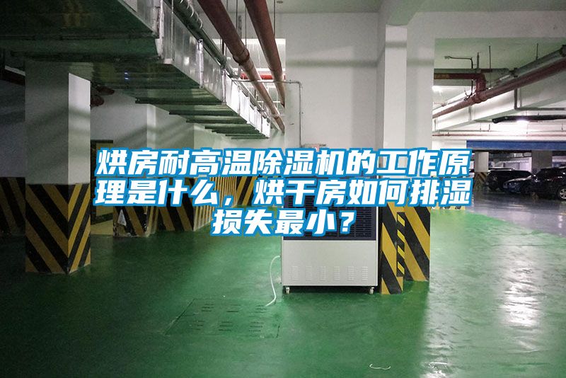 烘房耐高溫除濕機的工作原理是什么，烘干房如何排濕損失最?。?/></p>
						    <p style=