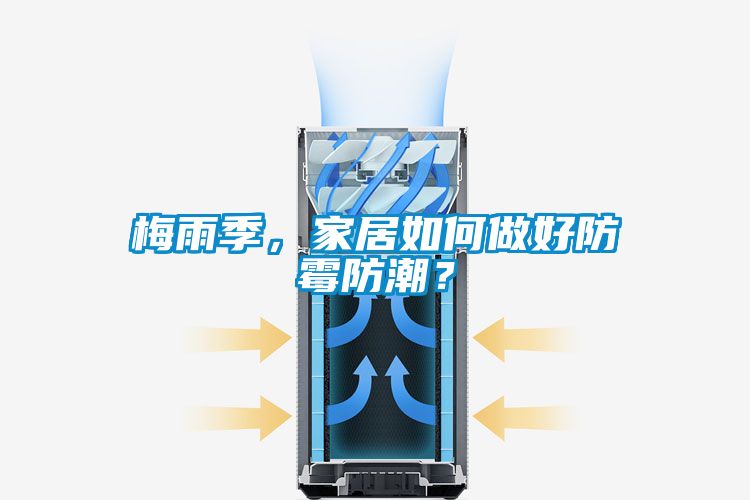 梅雨季，家居如何做好防霉防潮？