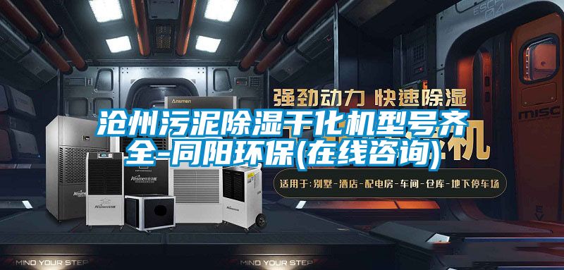 滄州污泥除濕干化機(jī)型號(hào)齊全-同陽(yáng)環(huán)保(在線咨詢)