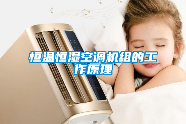 恒溫恒濕空調(diào)機組的工作原理