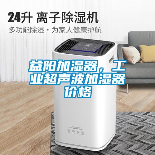 益陽加濕器，工業(yè)超聲波加濕器價格