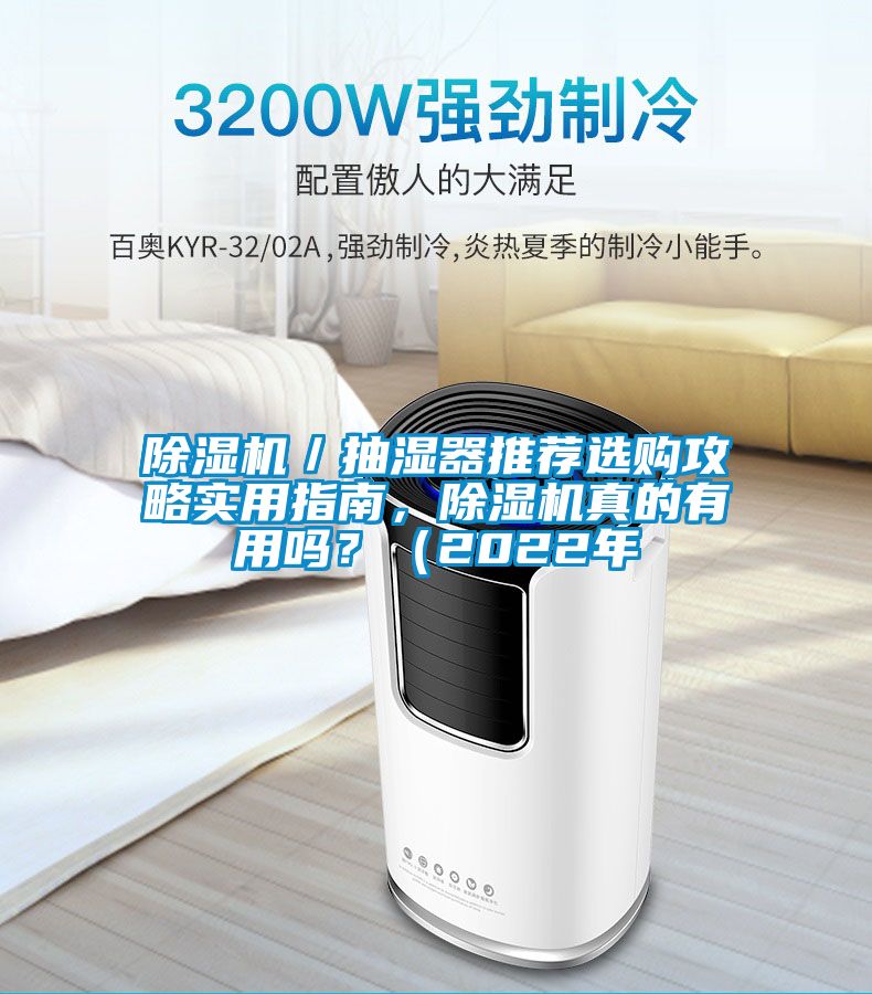 除濕機(jī)／抽濕器推薦選購(gòu)攻略實(shí)用指南，除濕機(jī)真的有用嗎？（2022年