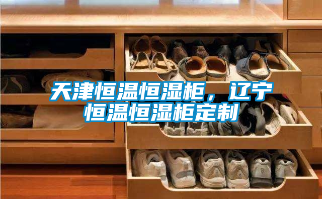 天津恒溫恒濕柜，遼寧恒溫恒濕柜定制