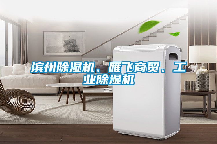 濱州除濕機(jī)、雁飛商貿(mào)、工業(yè)除濕機(jī)