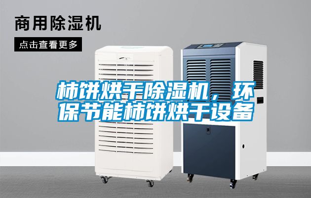 柿餅烘干除濕機，環(huán)保節(jié)能柿餅烘干設備