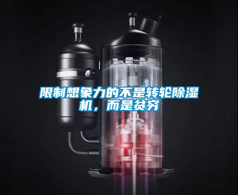 限制想象力的不是轉(zhuǎn)輪除濕機(jī)，而是貧窮