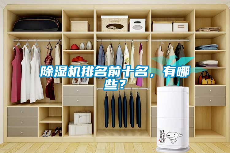 除濕機排名前十名，有哪些？