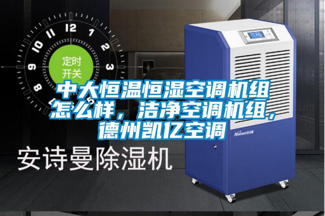 中大恒溫恒濕空調(diào)機(jī)組怎么樣，潔凈空調(diào)機(jī)組，德州凱億空調(diào)