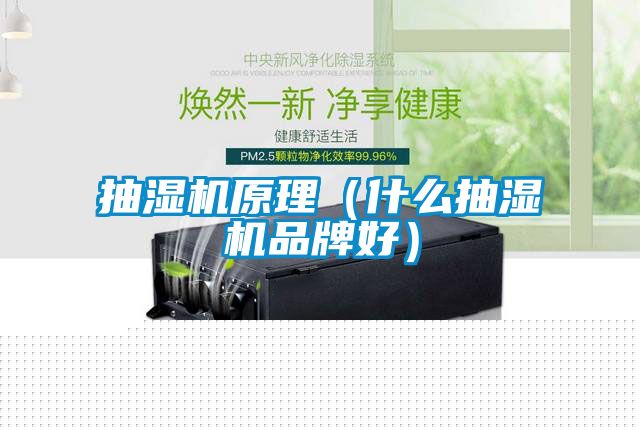 抽濕機(jī)原理（什么抽濕機(jī)品牌好）