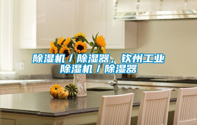 除濕機(jī)／除濕器，欽州工業(yè)除濕機(jī)／除濕器