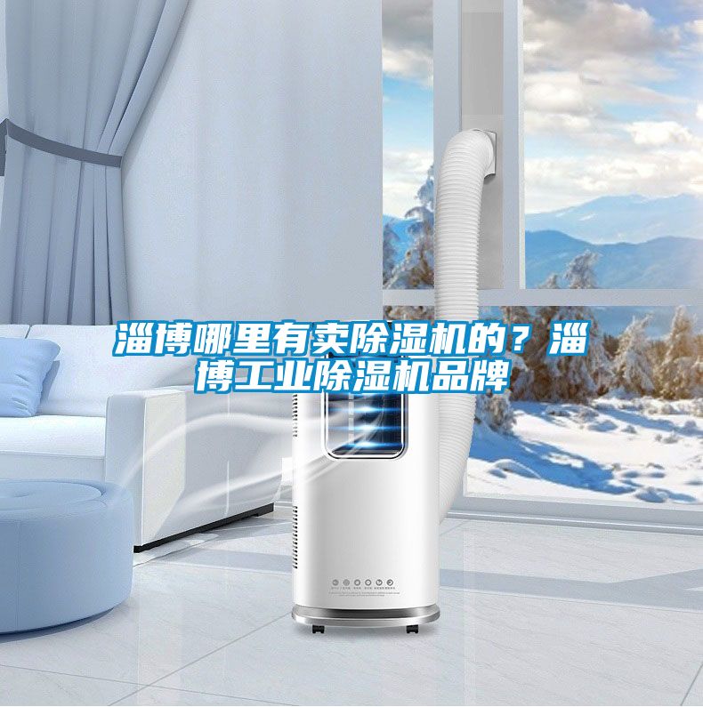 淄博哪里有賣除濕機的？淄博工業(yè)除濕機品牌