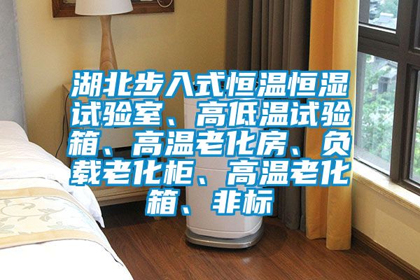 湖北步入式恒溫恒濕試驗(yàn)室、高低溫試驗(yàn)箱、高溫老化房、負(fù)載老化柜、高溫老化箱、非標(biāo)