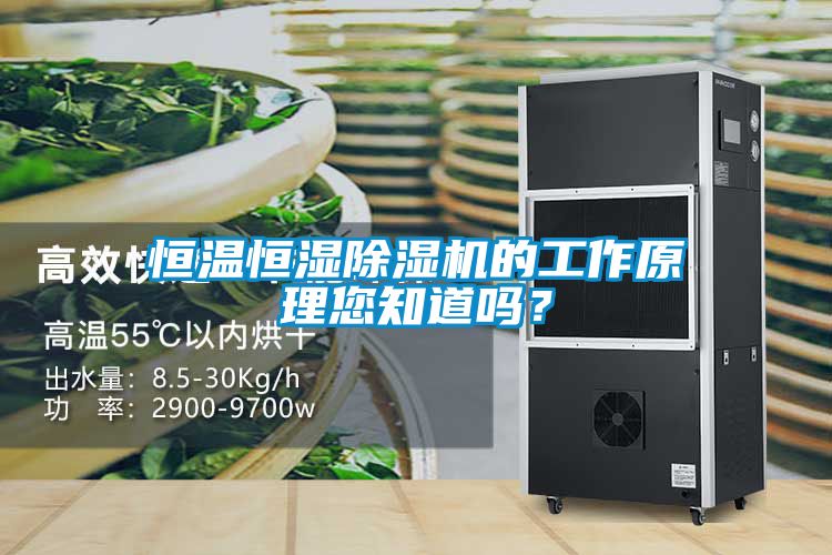 恒溫恒濕除濕機(jī)的工作原理您知道嗎？