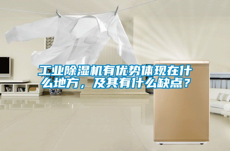 工業(yè)除濕機有優(yōu)勢體現(xiàn)在什么地方，及其有什么缺點？