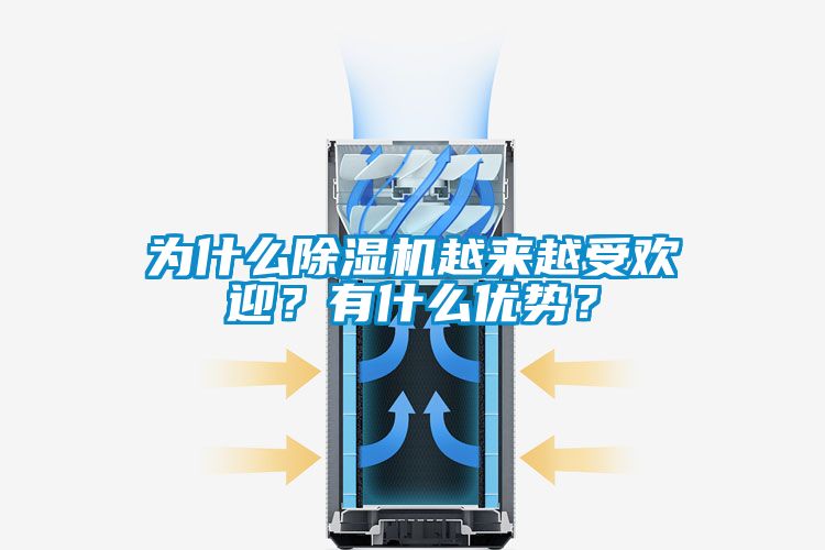 為什么除濕機(jī)越來越受歡迎？有什么優(yōu)勢？