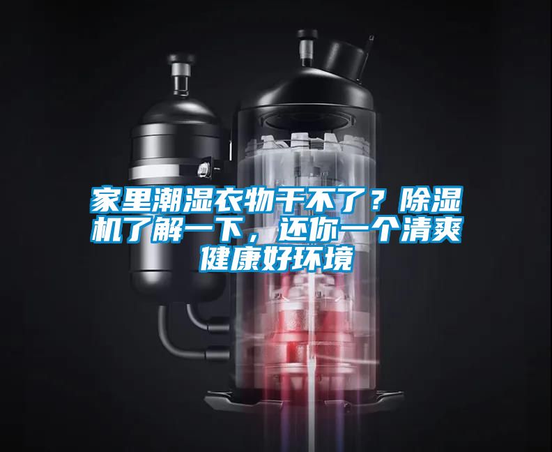 家里潮濕衣物干不了？除濕機(jī)了解一下，還你一個清爽健康好環(huán)境