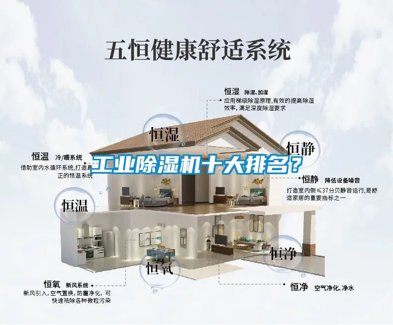 工業(yè)除濕機(jī)十大排名？