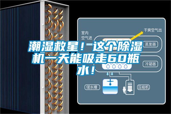潮濕救星！這個除濕機一天能吸走60瓶水！